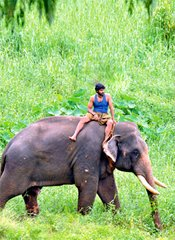 Kumki theatre bookings in full swing